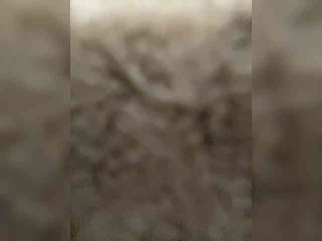Peachesssz webcam