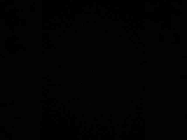 MintPepssi webcam