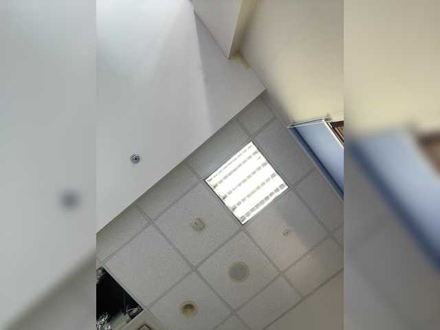 Neisi