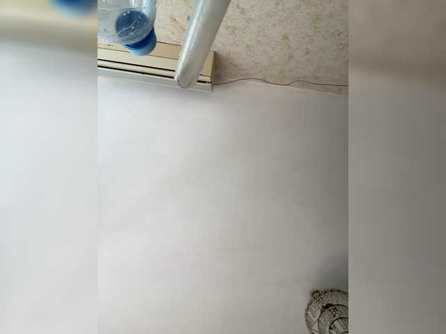 Neisi