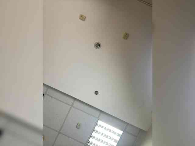 Neisi webcam