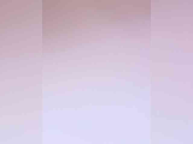 Neisi webcam