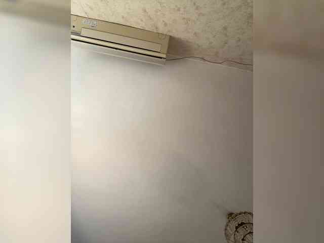 Neisi webcam
