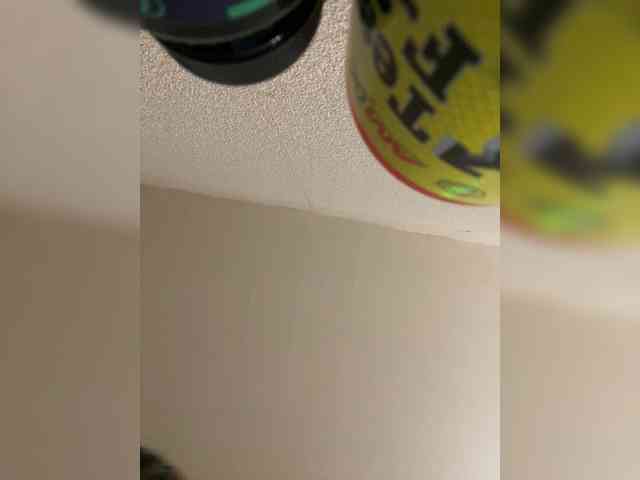 Neisi webcam