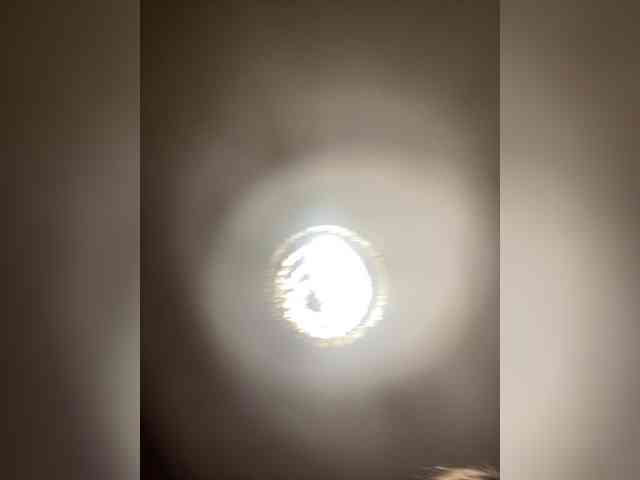 Neisi webcam