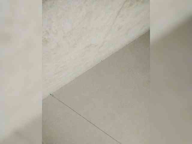 Neisi webcam
