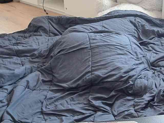 Ceriselapine Live Webcam on BongaCams