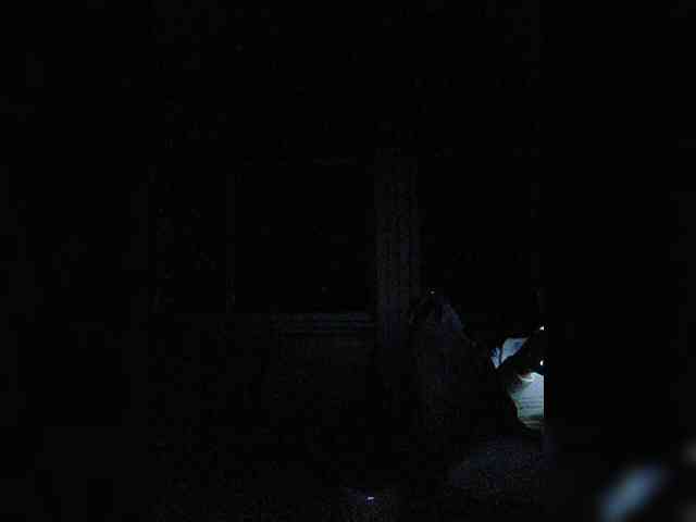 ArialLav Live Webcam on BongaCams