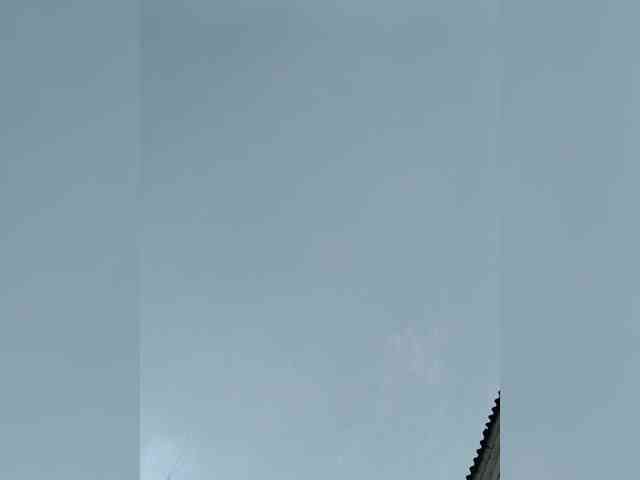 AnnaVictoriaa webcam