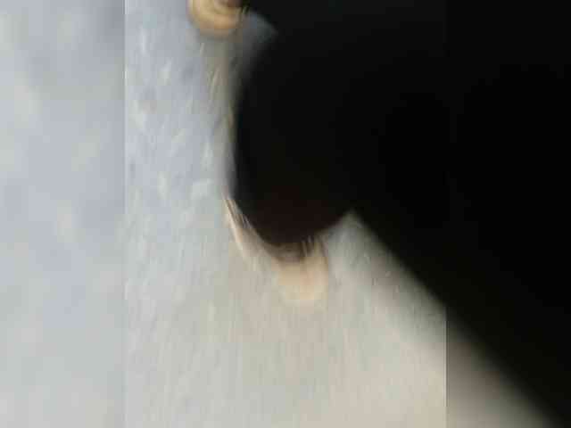 AnnaVictoriaa webcam