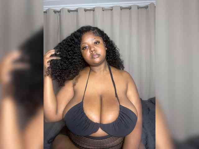 Model: MsPoney