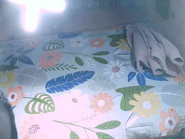 yasmie webcam