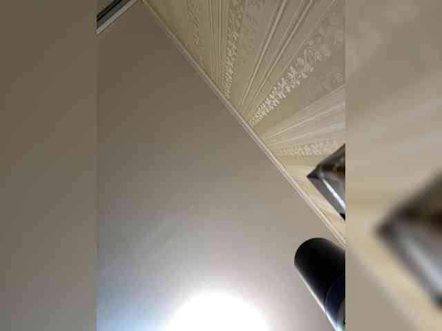 SunshineEmma webcam