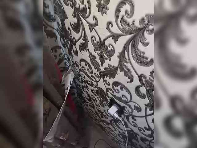 doktorgirl webcam