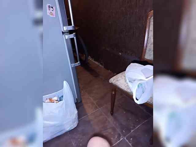 doktorgirl webcam