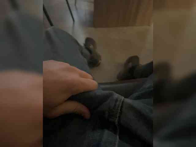 Faaaany69