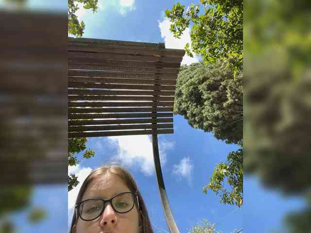 Luxxu webcam