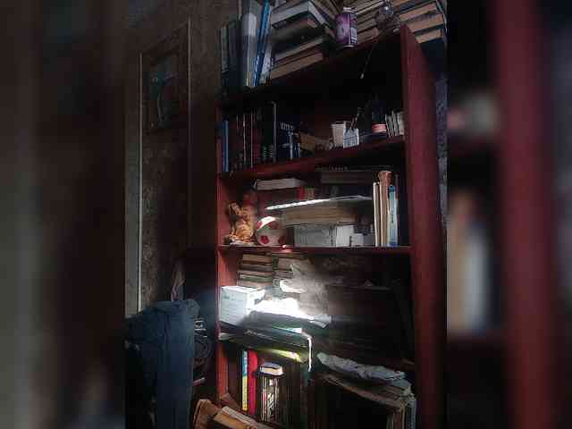 denis013013
