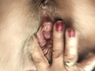 PanteraNeagra Porn Show