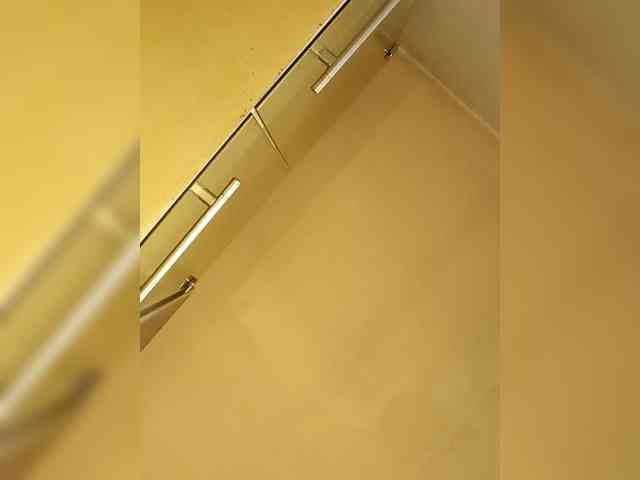 PanteraNeagra webcam