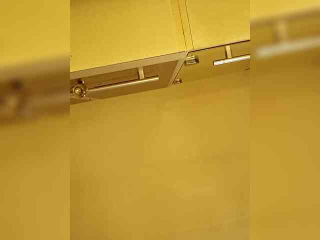 PanteraNeagra webcam