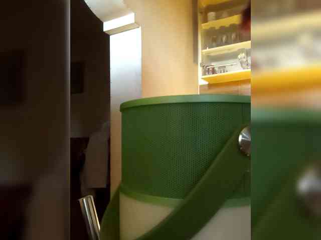 PanteraNeagra webcam