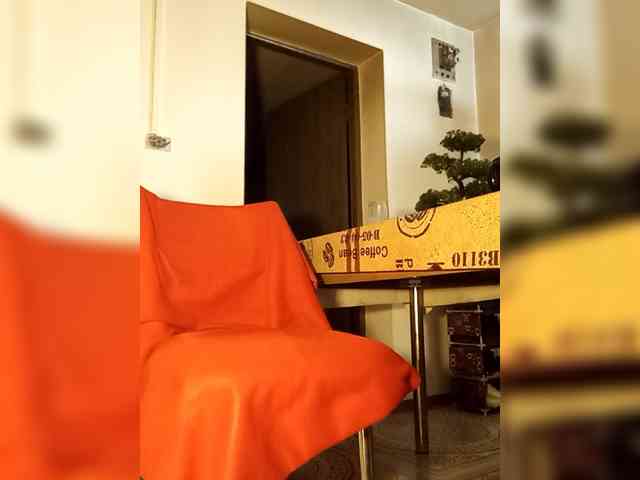 PanteraNeagra webcam