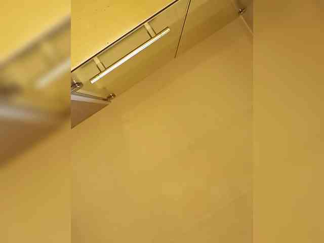 PanteraNeagra webcam