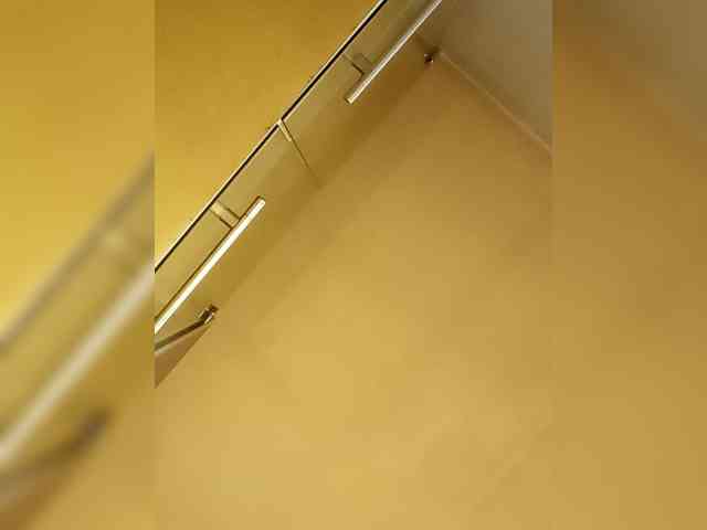 PanteraNeagra webcam