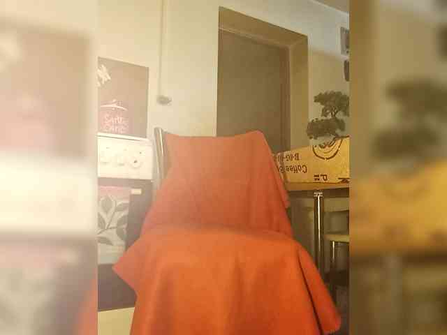 PanteraNeagra webcam