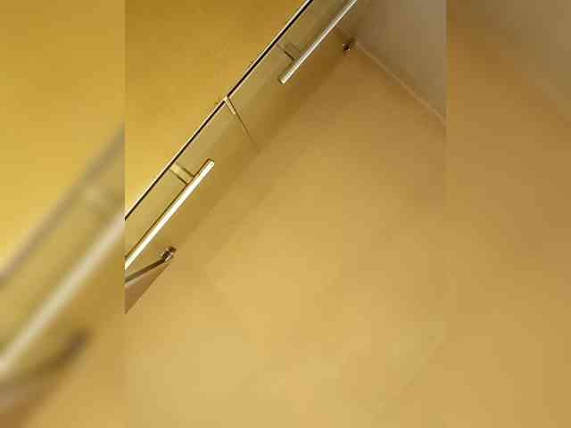 PanteraNeagra webcam