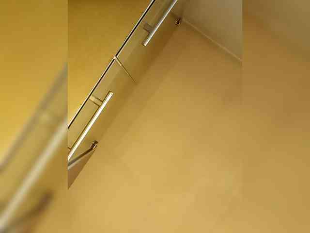 PanteraNeagra webcam