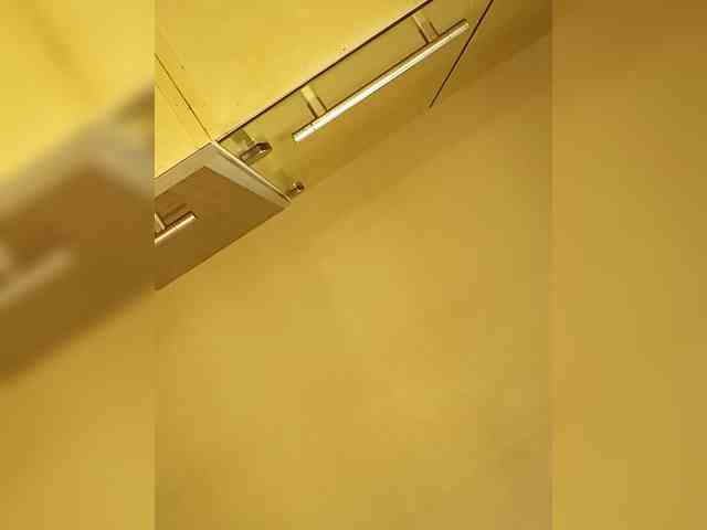 PanteraNeagra webcam