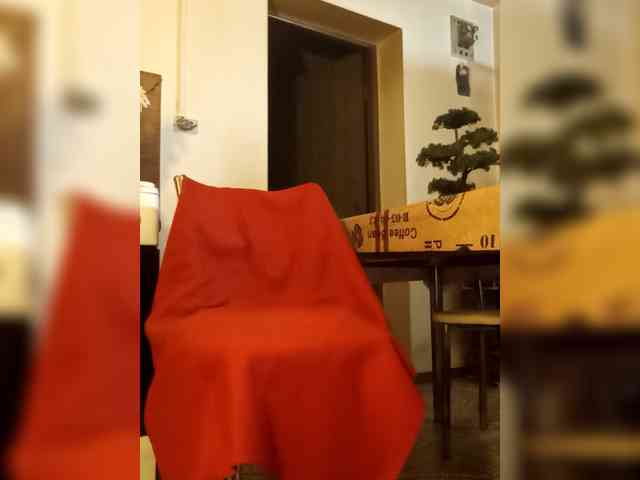 PanteraNeagra webcam