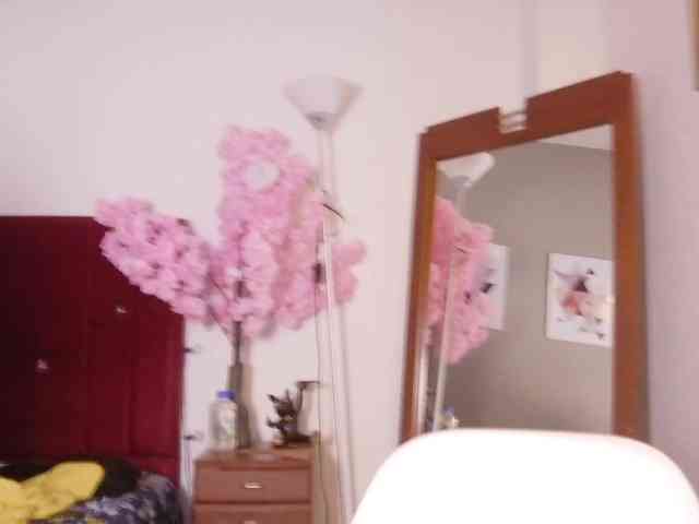 kitty4daddy webcam