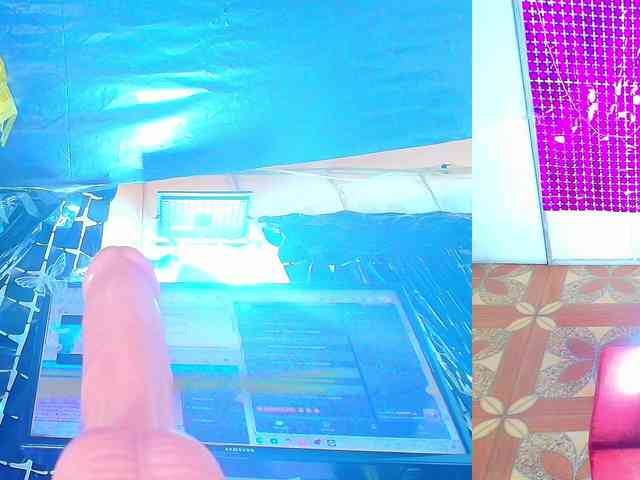 dakotamilf-hot webcam