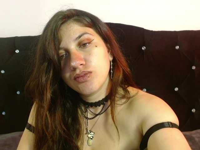 Pandy88