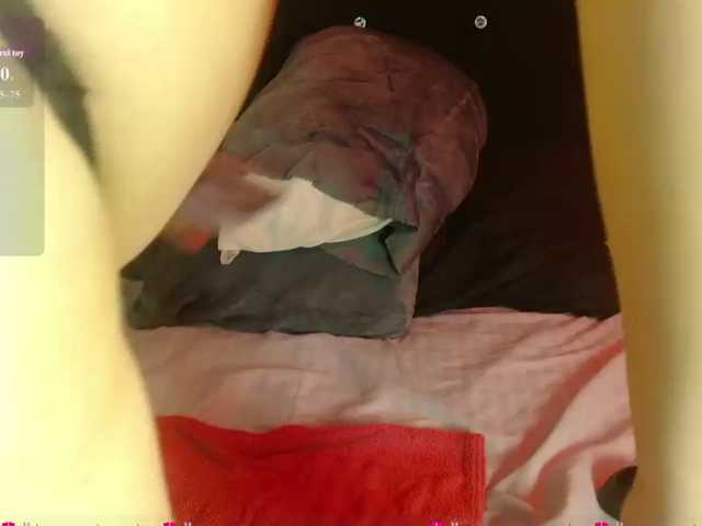 Pandy88