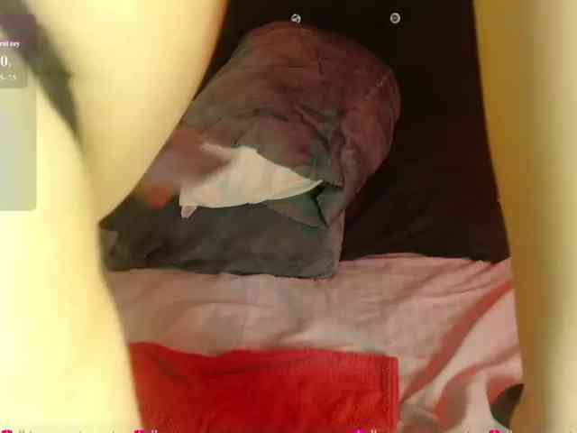 Pandy88 webcam