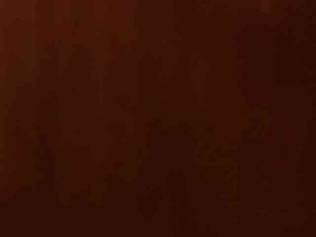 Rinconerotico webcam