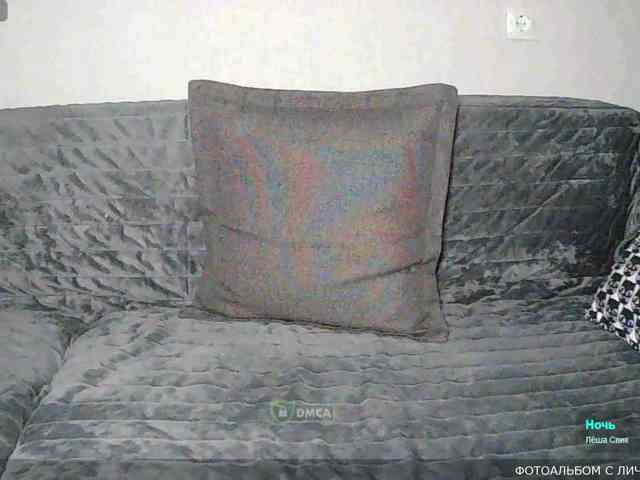 Y-A-N-A webcam