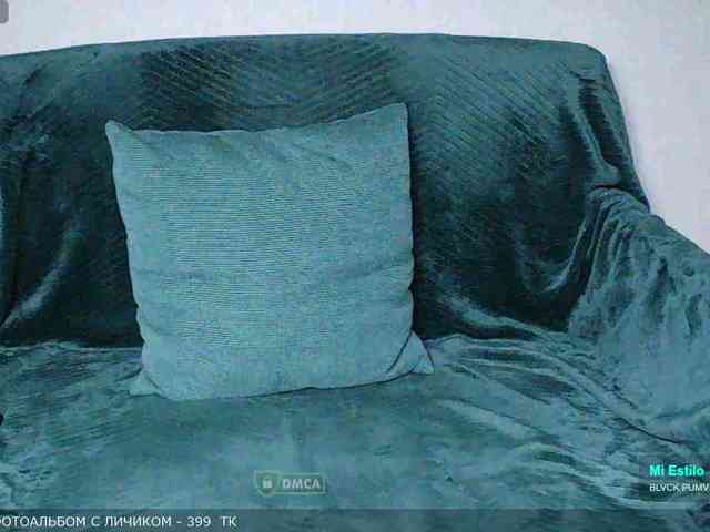 Y-A-N-A webcam