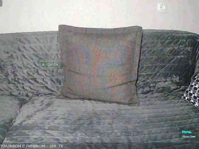 Y-A-N-A webcam