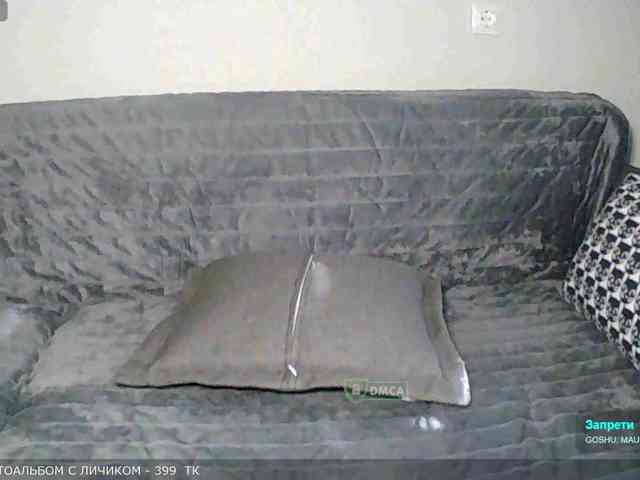 Y-A-N-A webcam