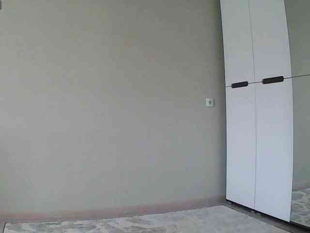 Модель: Y-A-N-A