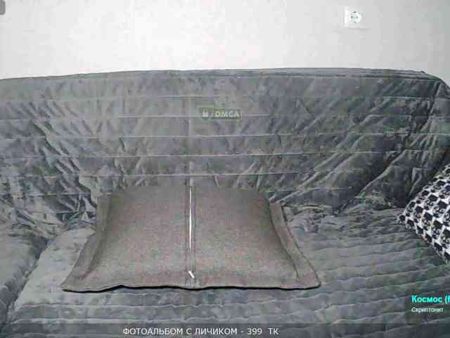 Y-A-N-A webcam