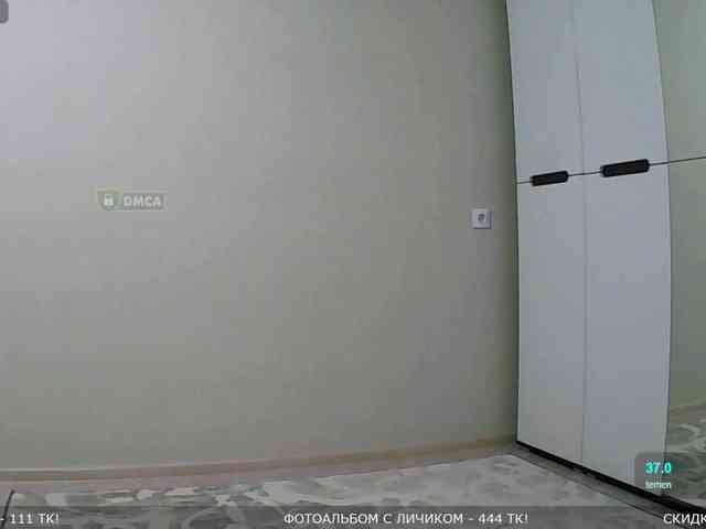 Y-A-N-A webcam