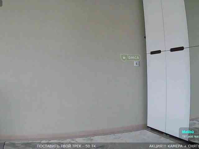 Y-A-N-A webcam