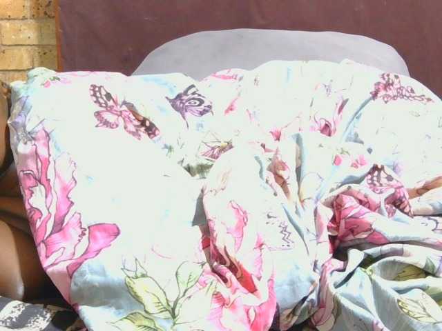 AngelBlackChoco live cam on BongaCams