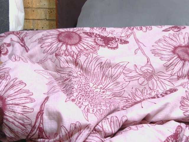 AngelBlackChoco live cam on BongaCams